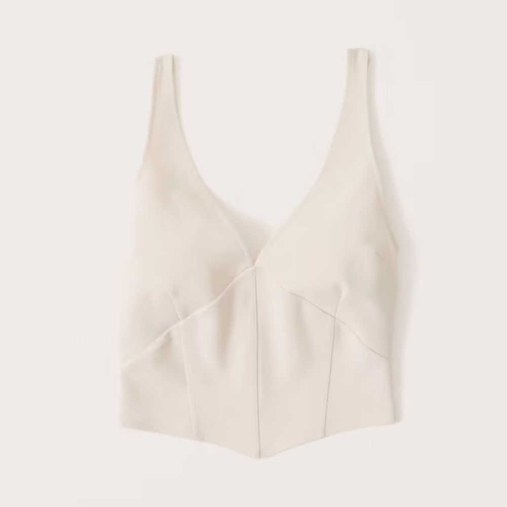 Abercrombie & Fitch NWT Plunge Corset Top